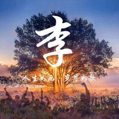 果盘精灵大夜战手游下载