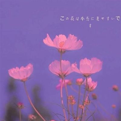 永远的7日之都oppo版下载