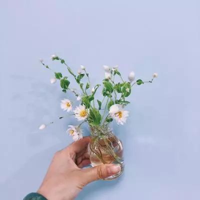 执剑江湖手游果盘版下载