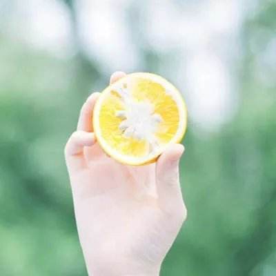 果盘东方归言录手游下载
