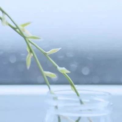 我射击贼6最新版下载